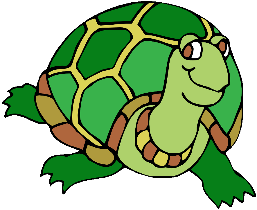 Turtle icon